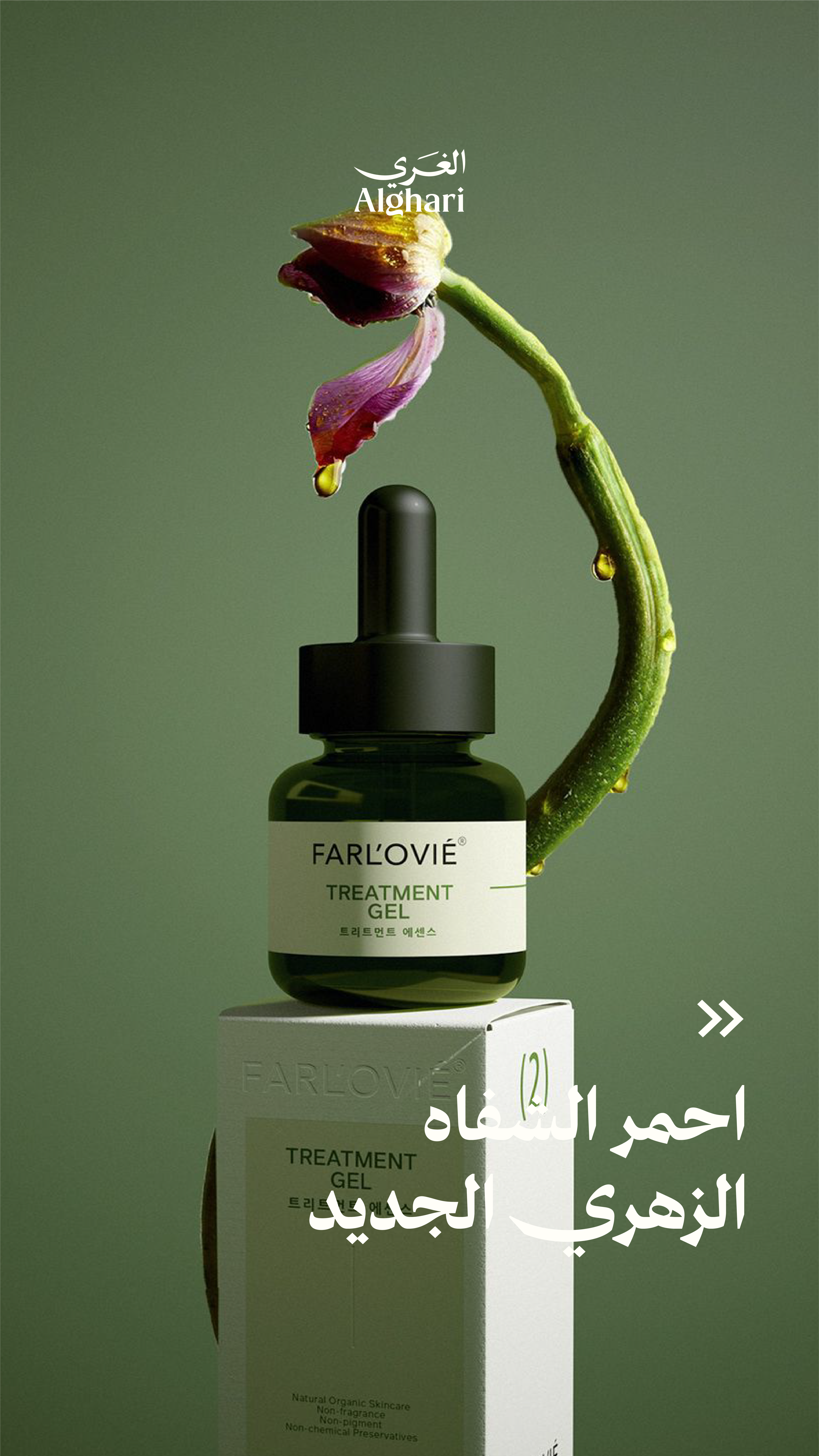 يوسف العميد